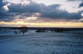 Vinter koldt